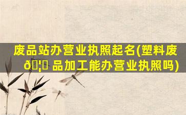 废品站办营业执照起名(塑料废 🦍 品加工能办营业执照吗)